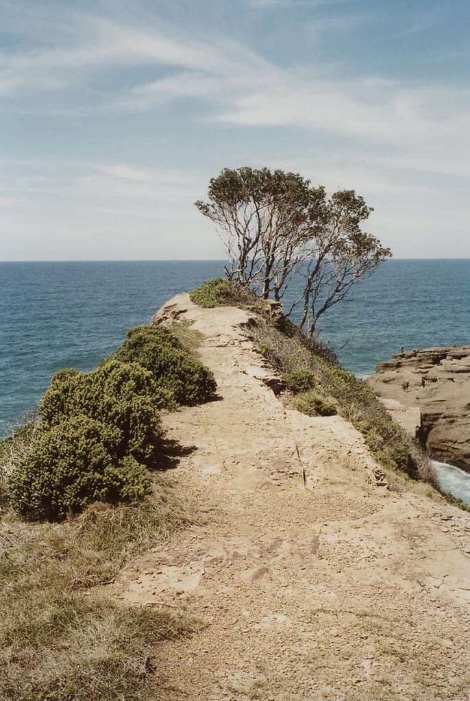 Snapper Point, Frazer Beach, Munmorah State Conservation Area, Central Coast NSW