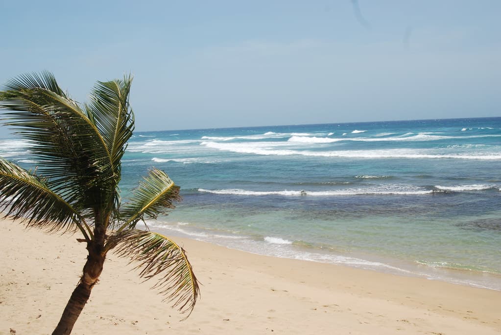 Shore Island Beach view 2