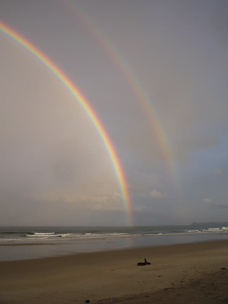 Waipu Cove view 3