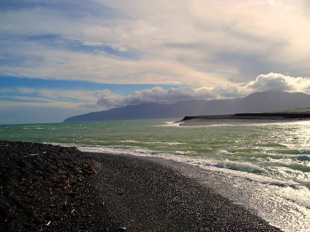 Wellington Bay Shoreline