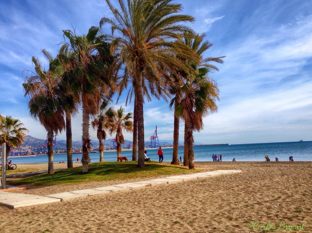Playa del Palo view 3