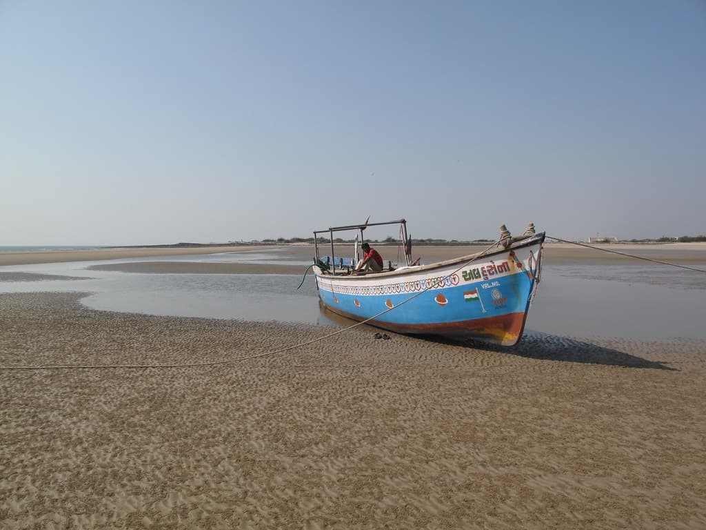 Mandvi Wind Farm Beach — photo by catenjohn