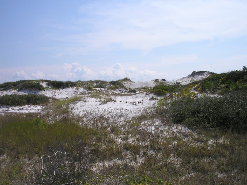 Grayton Beach view 2