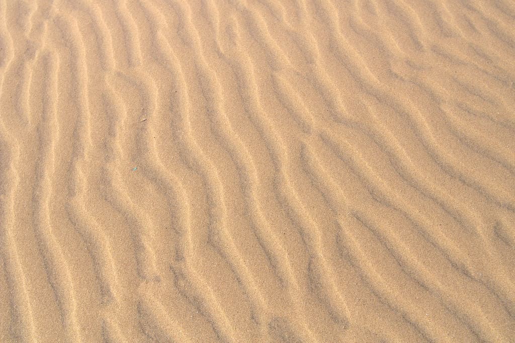 South Padre Dunes Beach view 2
