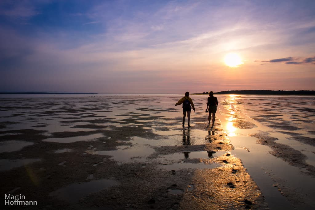 Koguva Beach