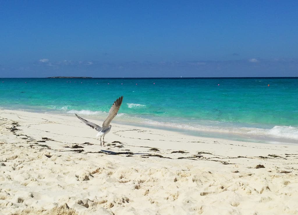 Palm Cay Beach