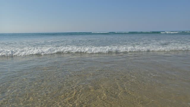 Flamingo Bay Beach
