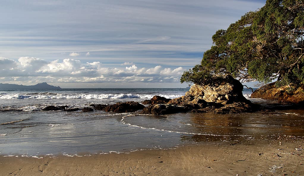 Waipu Cove