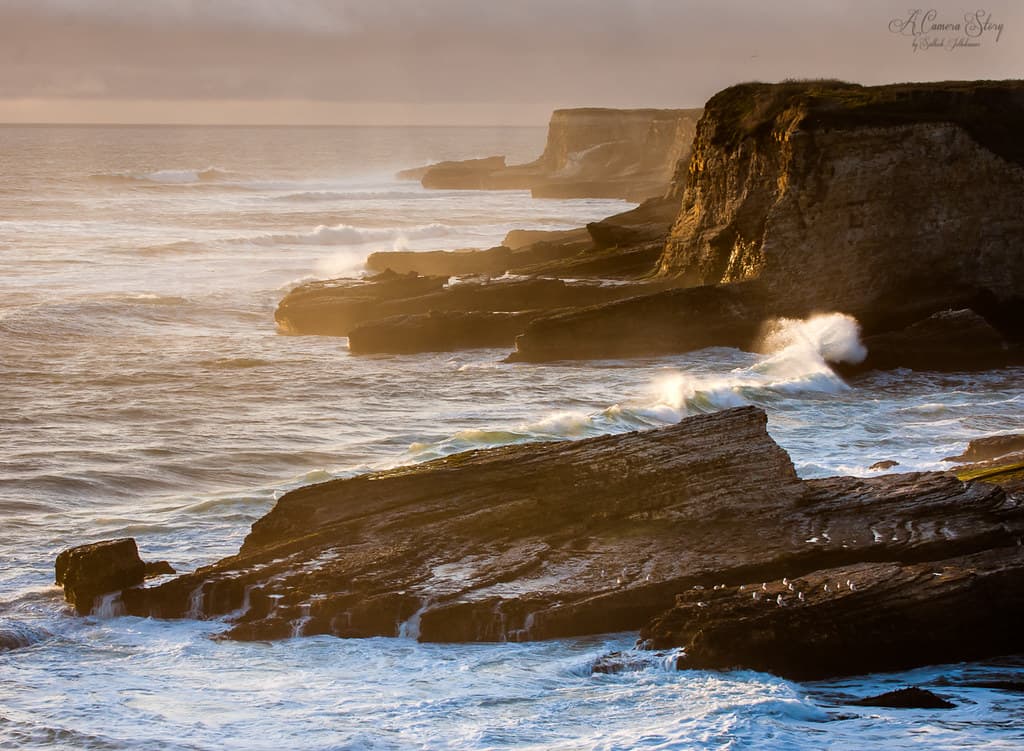 Panther Beach