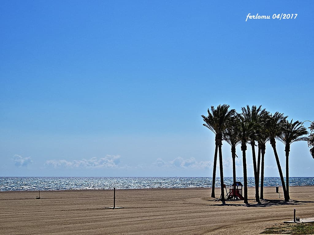 Playa de Cerrillos view 2