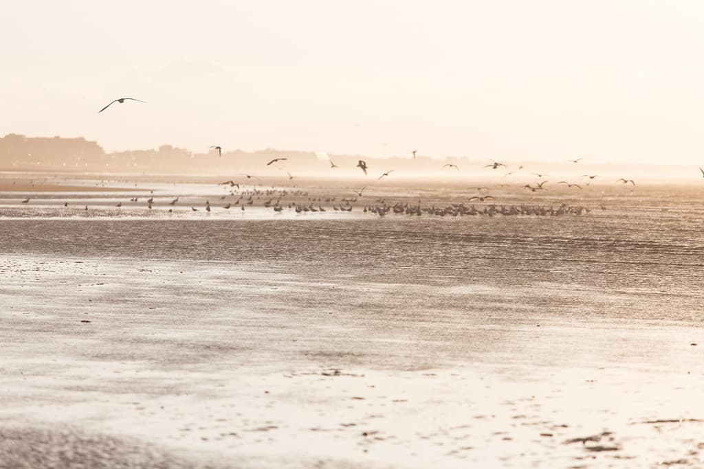 Plage de Cabourg view 3