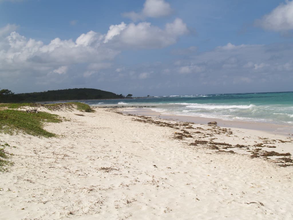 Oyster Bay Cove view 2