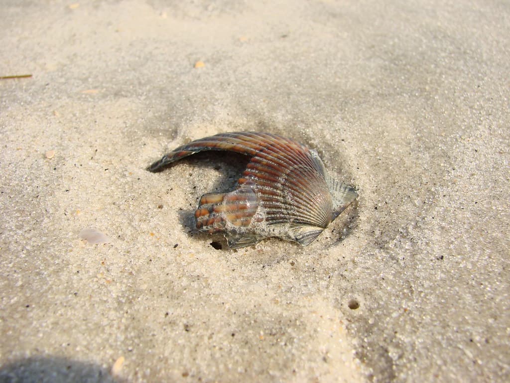 Robert Moses State Park Beach view 2