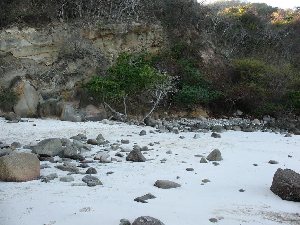 Playa Bahía Creek