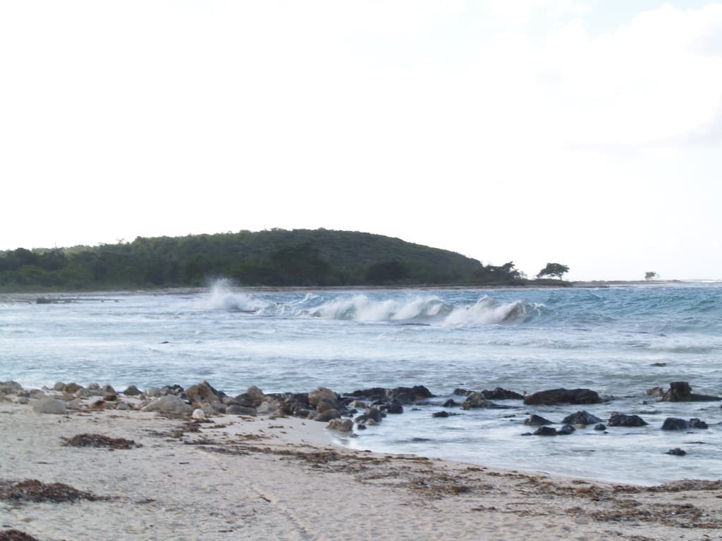 Oyster Bay Cove view 3
