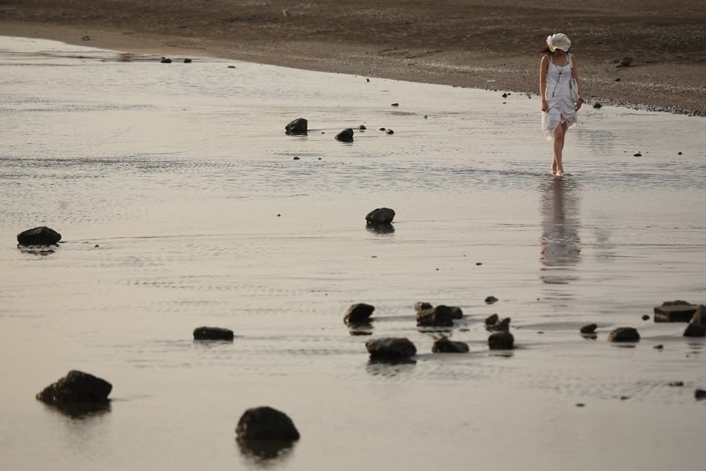 Benten Coastal Beach view 2