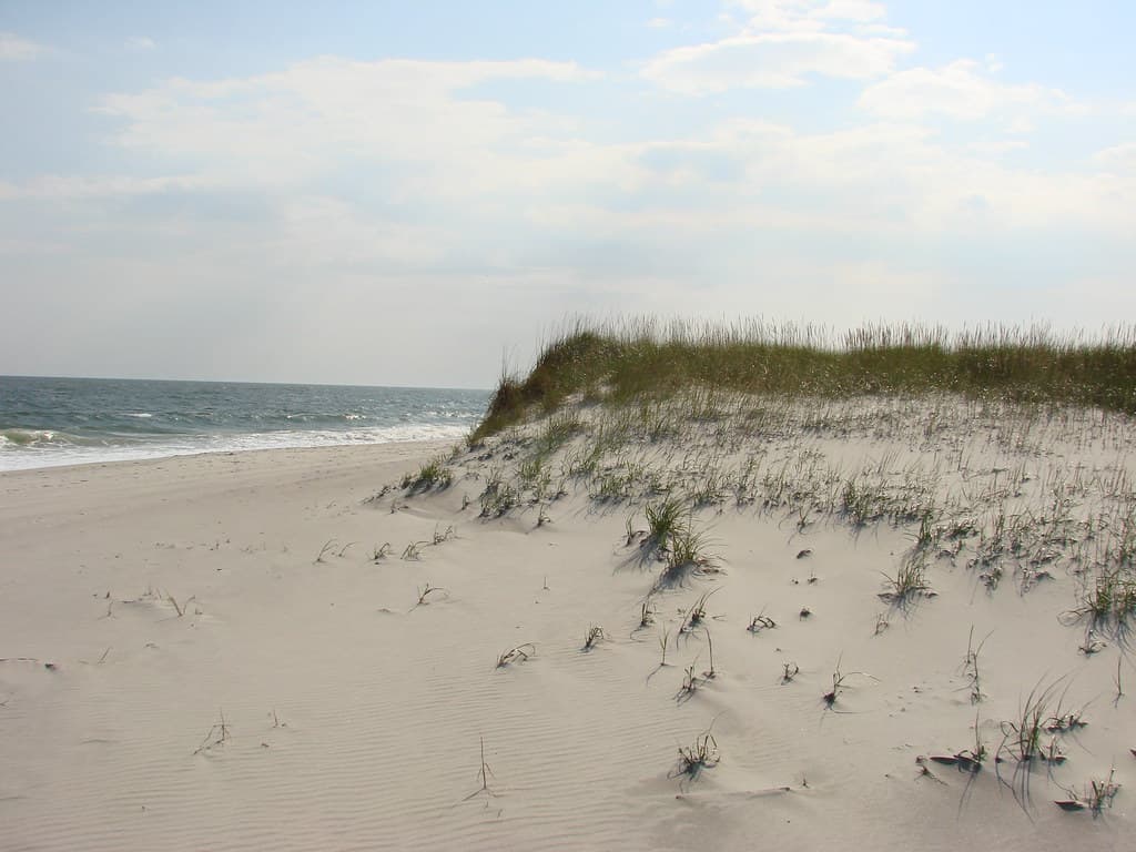 Robert Moses State Park Beach view 3