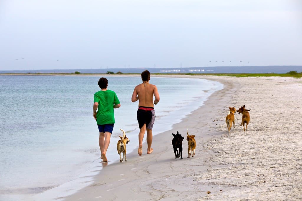 Playa Güinima