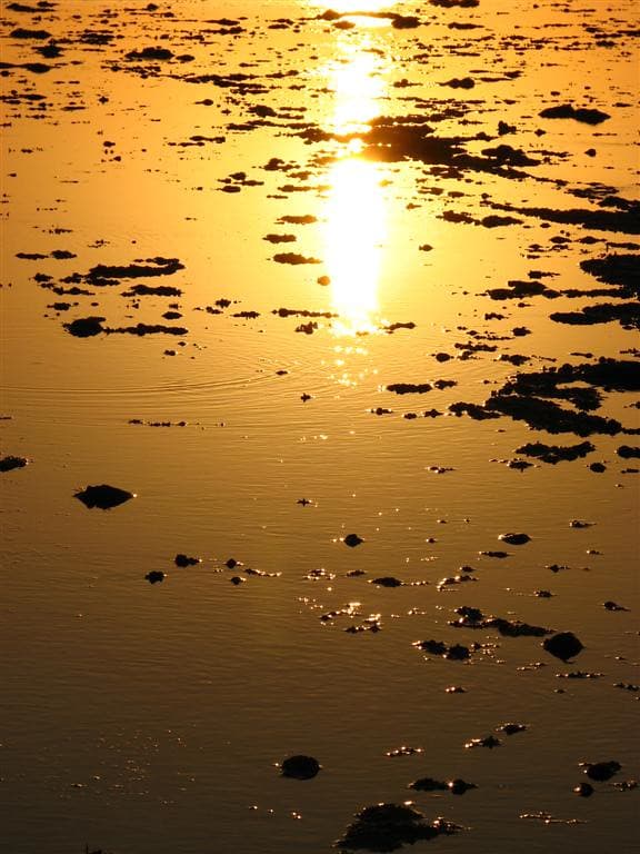 Lakey Beach