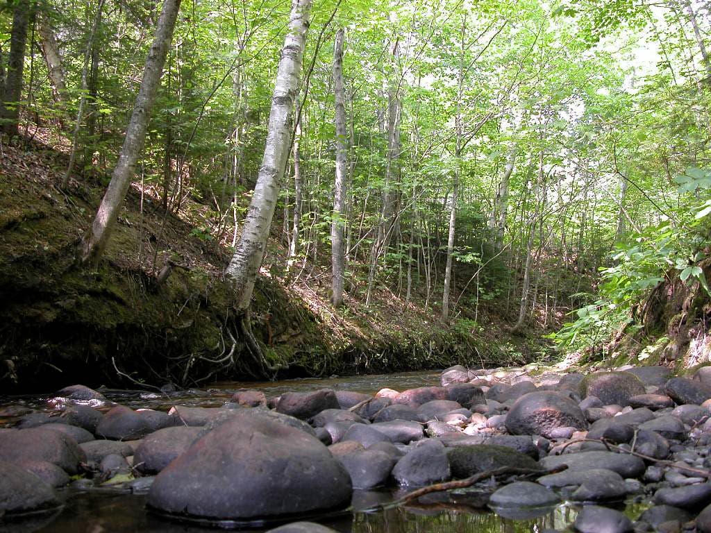 Sable Falls Beach