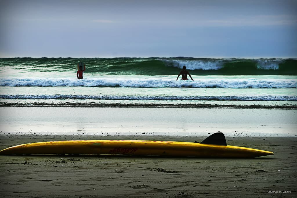 Playa Costa de Oro view 2