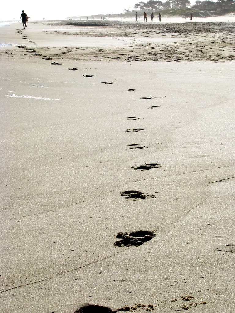 Playa Las Toscas