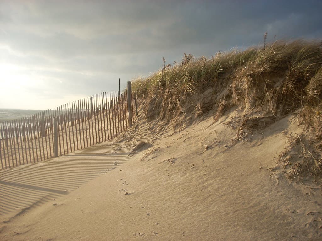 Dune