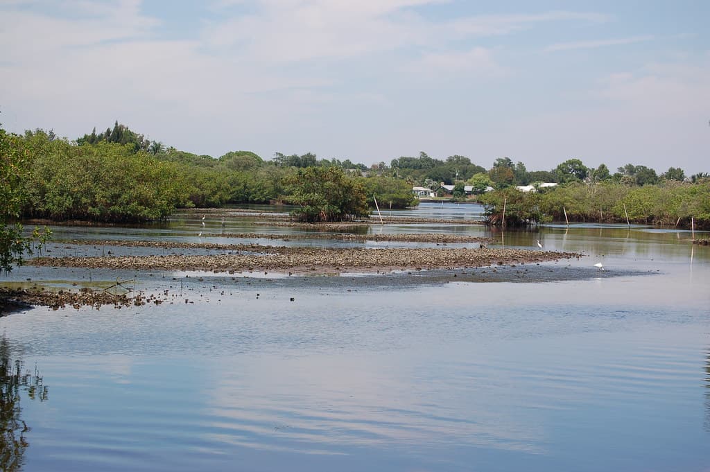 Holly Beach East
