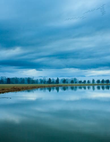 Fowl River Beach