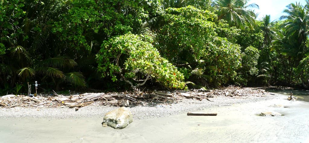 Playa Panica view 3