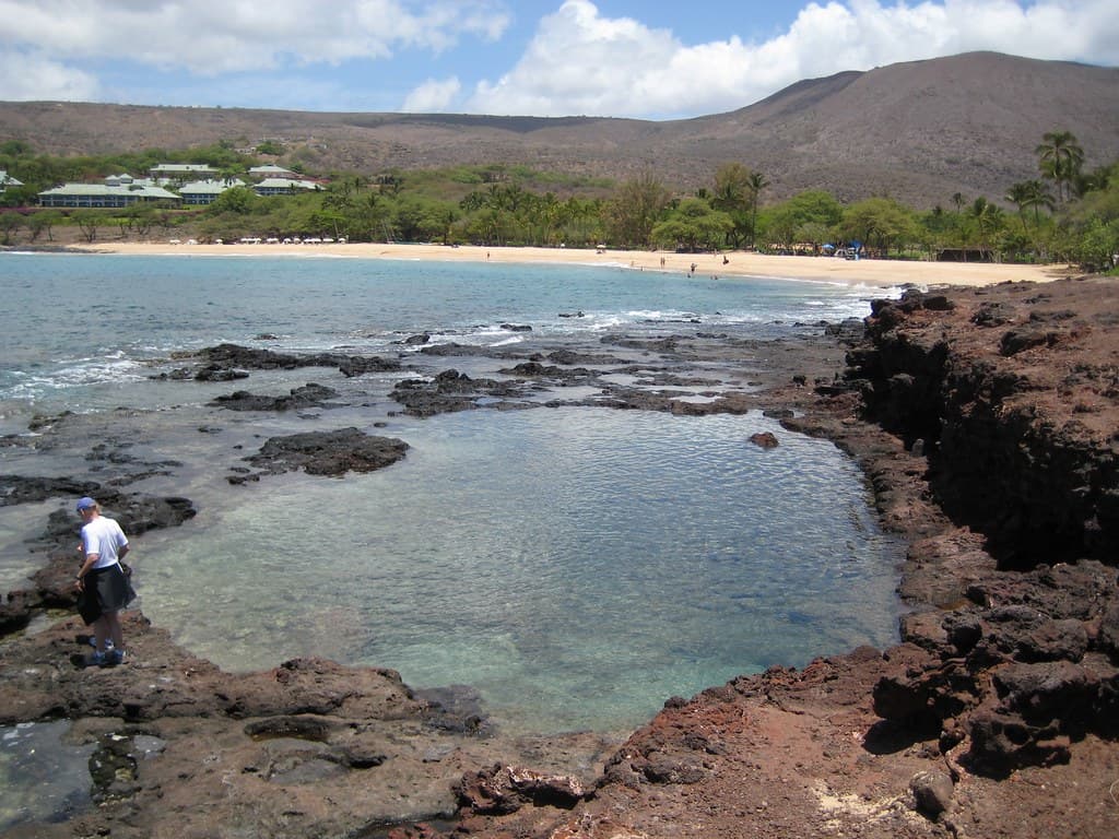 Hulopo'e Bay, Lana'i: Tide Pools