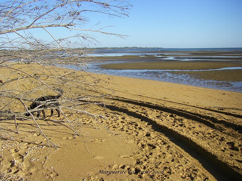Pialba Beach view 2
