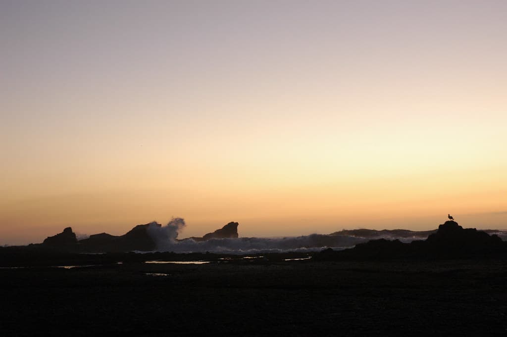 Pillar Point Beach