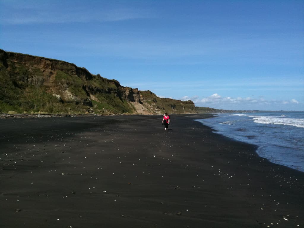 Whangaehu Beach