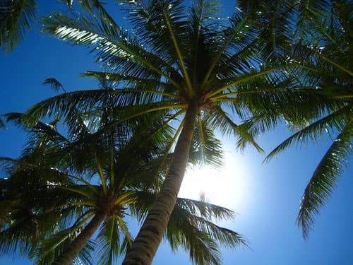 Buhays Island Beach