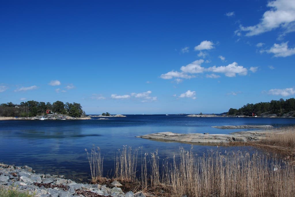 Bergs Badplats