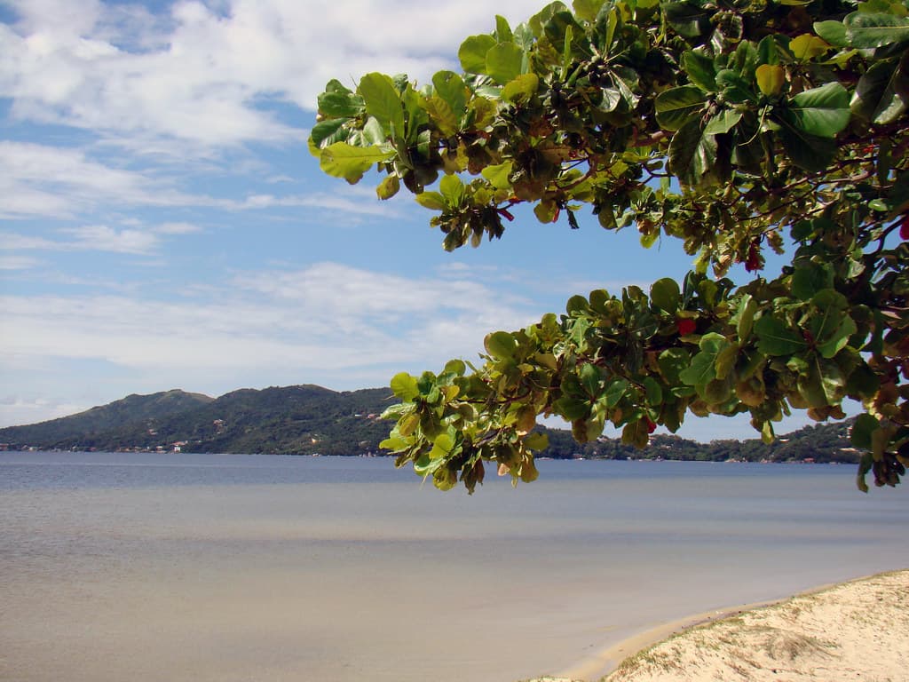 Plage La Plaine