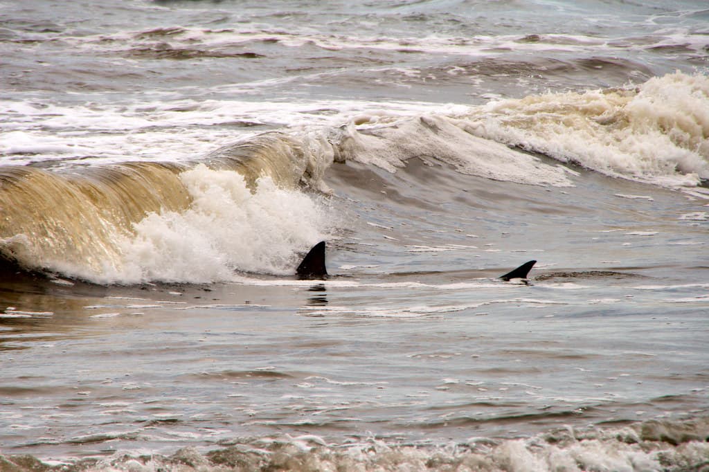 Playa Sirena