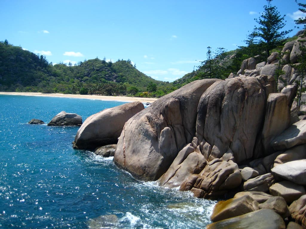 Radical Bay