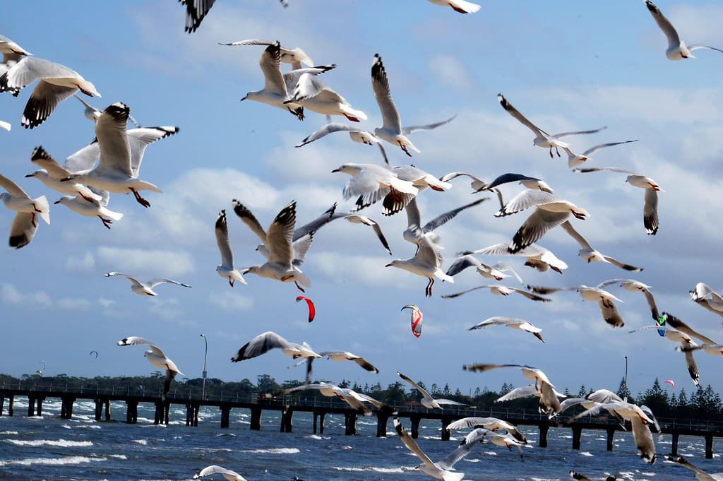 Altona Beach
