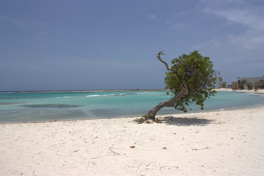 Bachelor’s Beach South Cove view 2