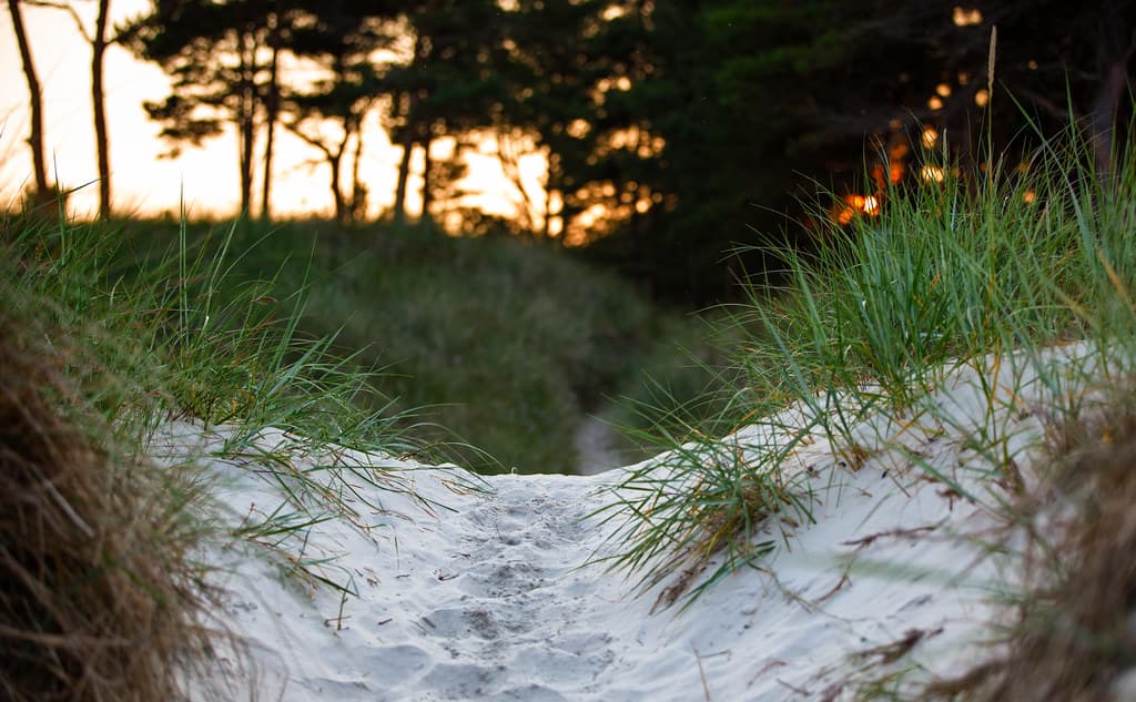 Sandhammaren Beach view 3