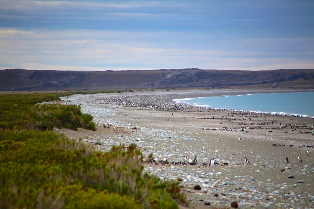 Playa Punta Dungeness Norte