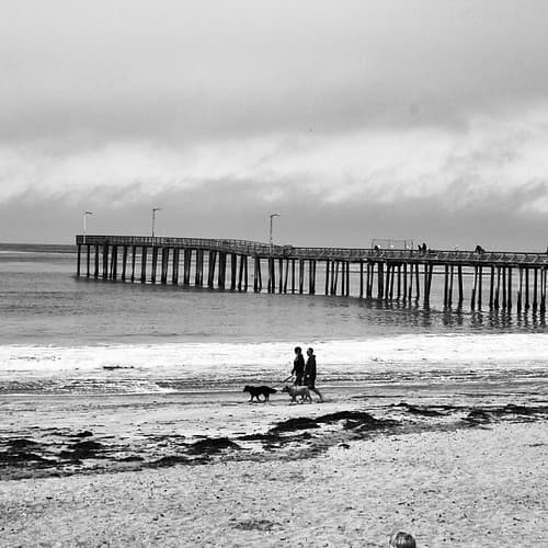 Inkwell Beach