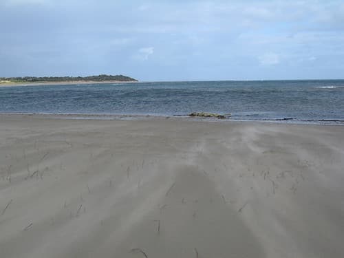 Shoreham Beach