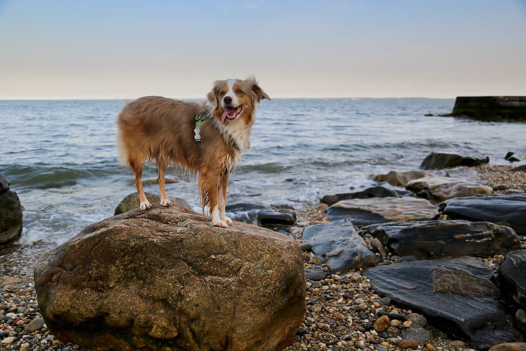 Red Rock Beach