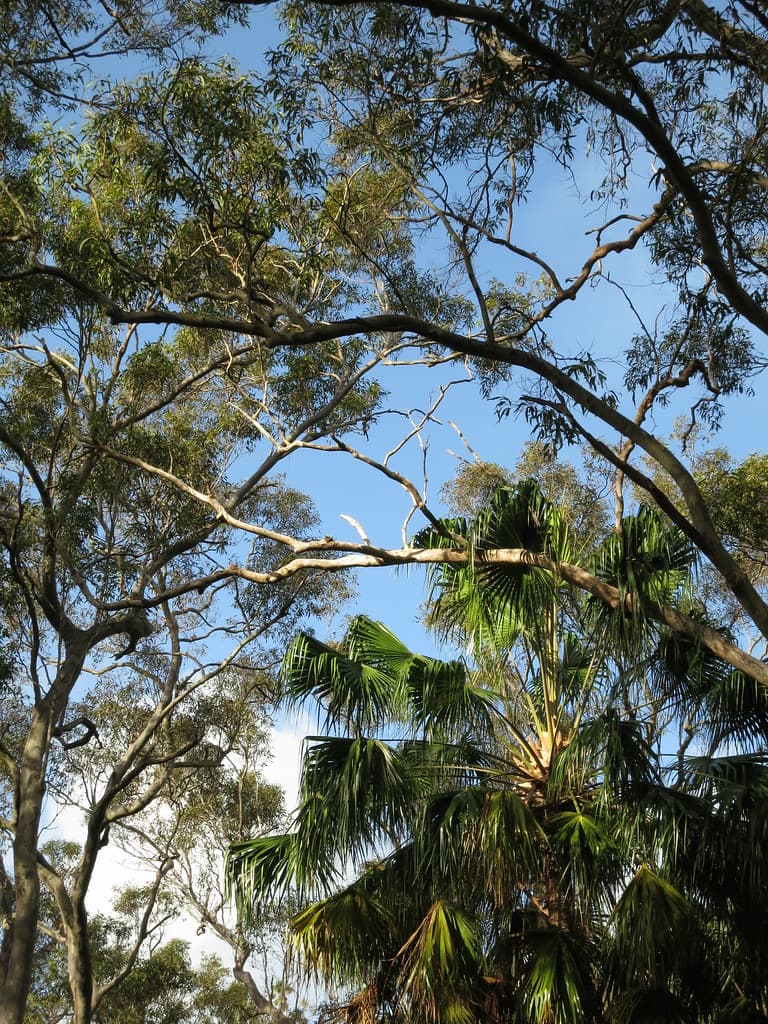 Horderns Beach