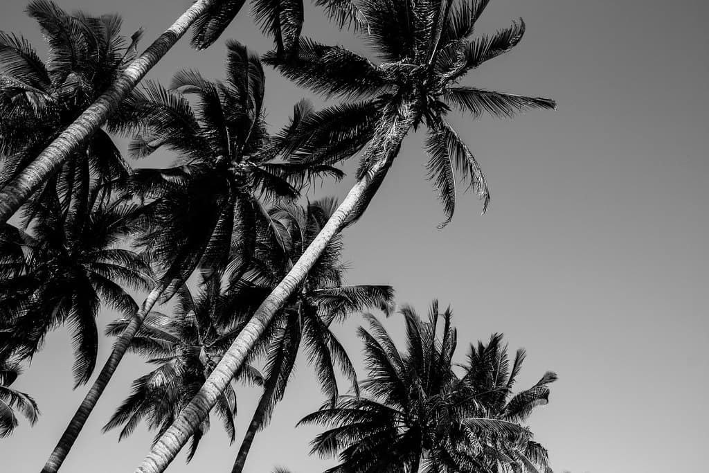 Playa Bocana El Icacal view 2