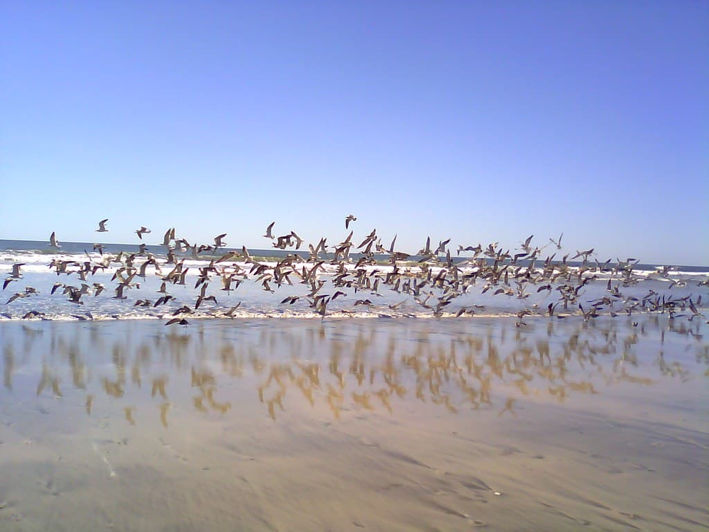 Playa Arcos del Espino