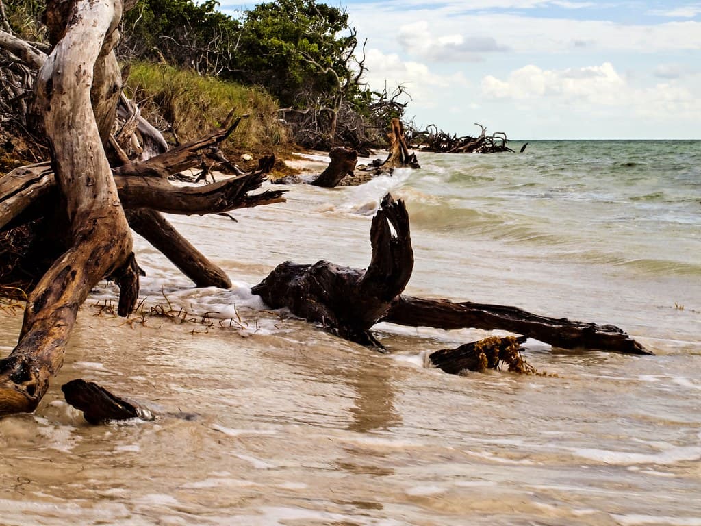 Sandspur Beach view 2